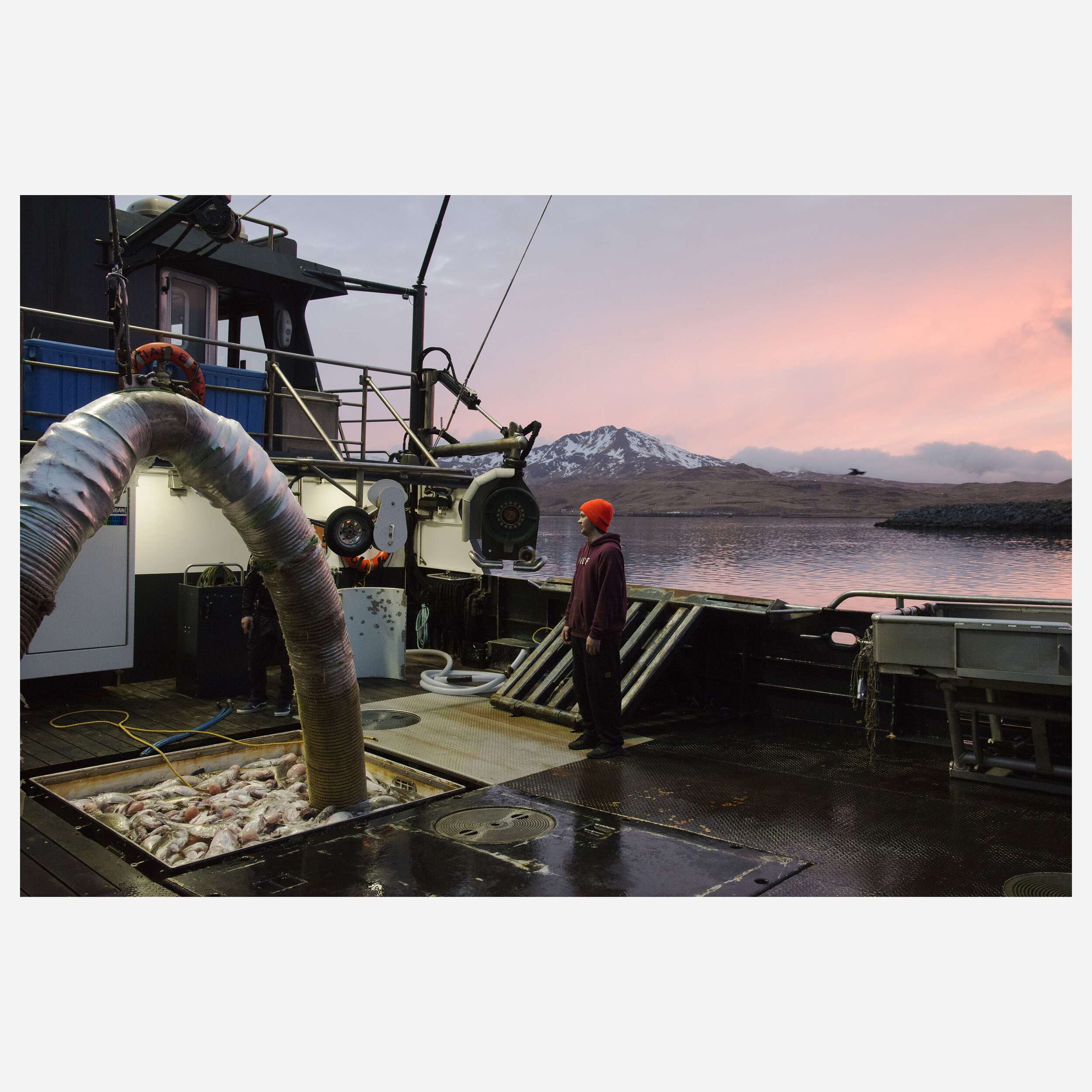 Cod Fishing, Adak for Alaska Seafood Marketing Institute