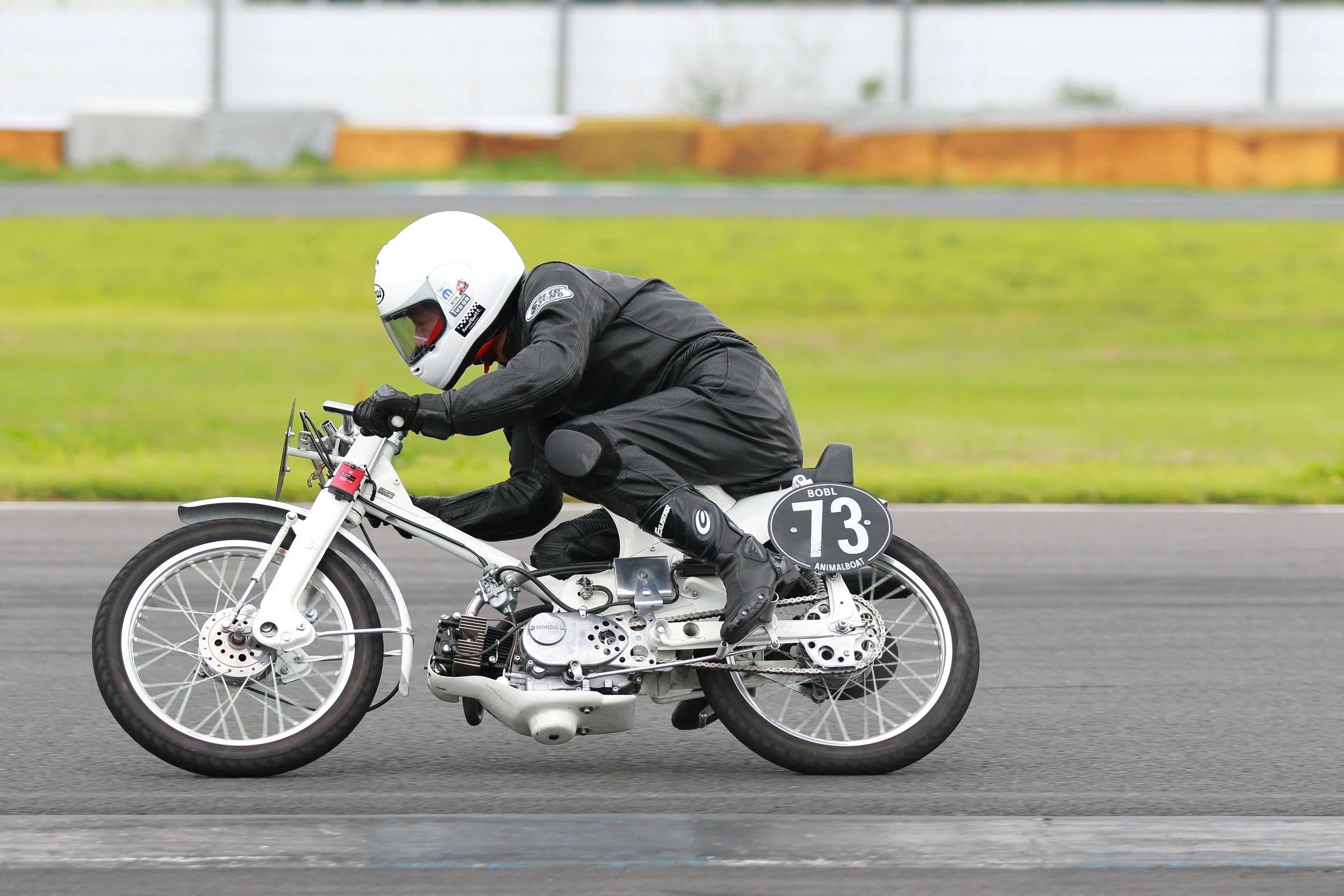 1800811_b.o.b.l_R2 - 580.JPG