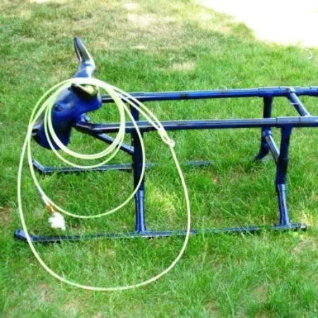 Roping Class