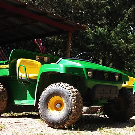 2 Person TS Gators