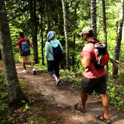 Immersive Nature Hikes