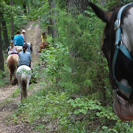 webtrailride.jpg