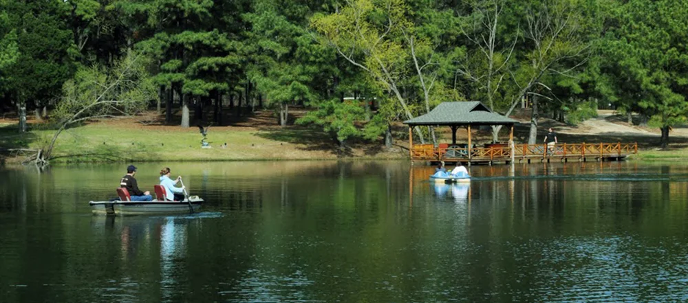 dreamlake.jpg