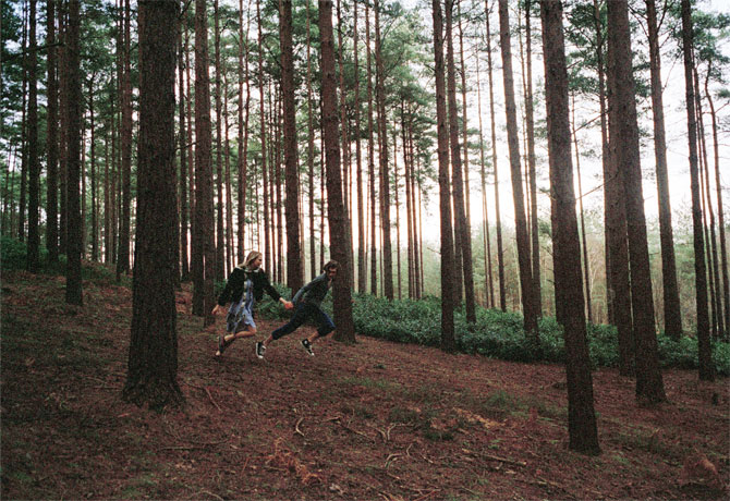 escapethewoods.jpg