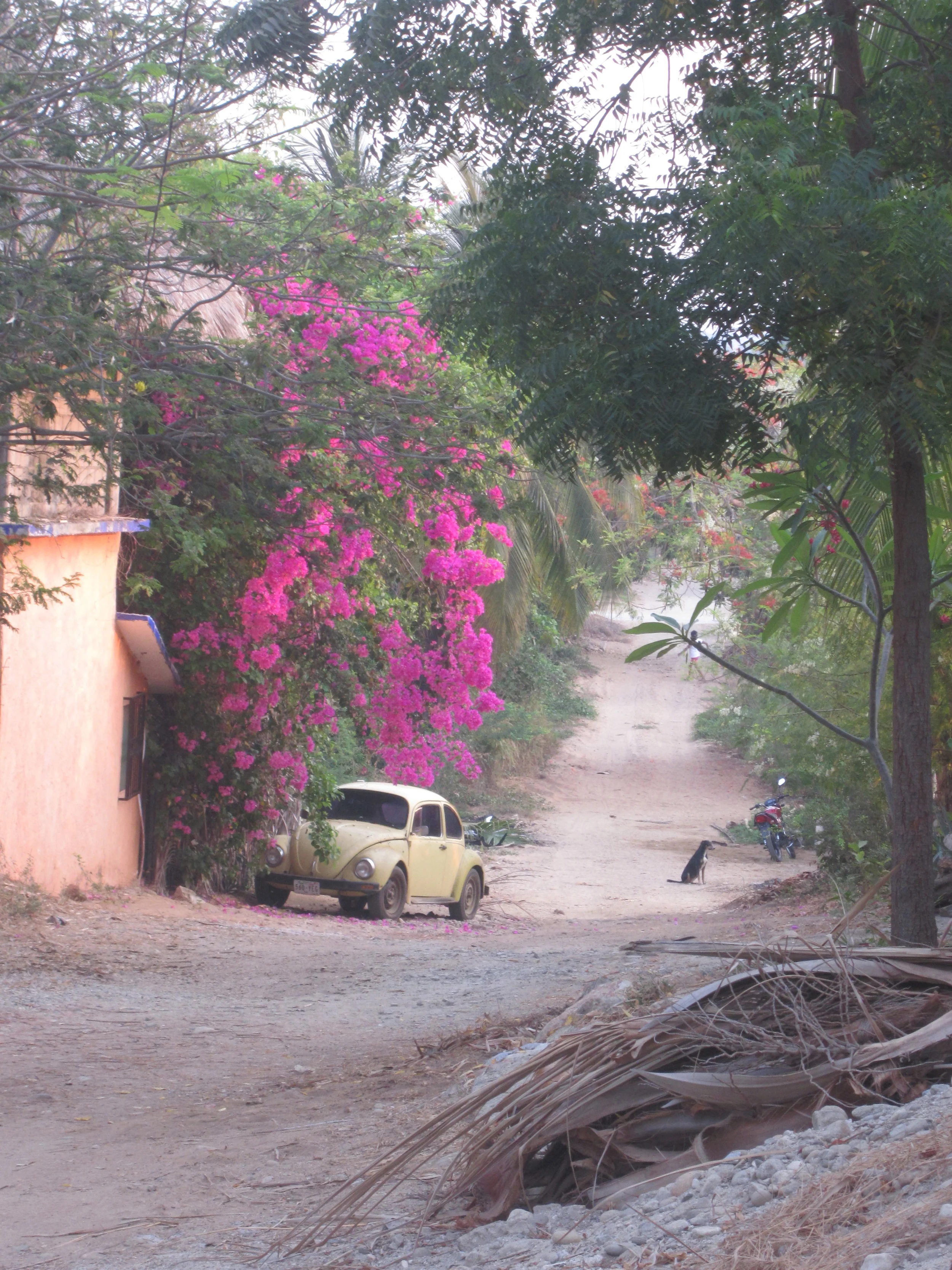 Puerto Escondido: Why it's my happy place 