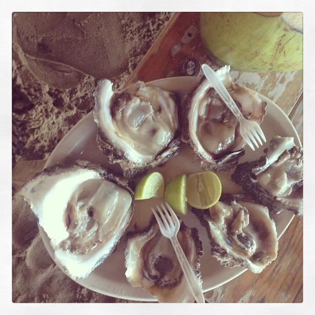 AGUA BLANCA: HOLY SHUCK 