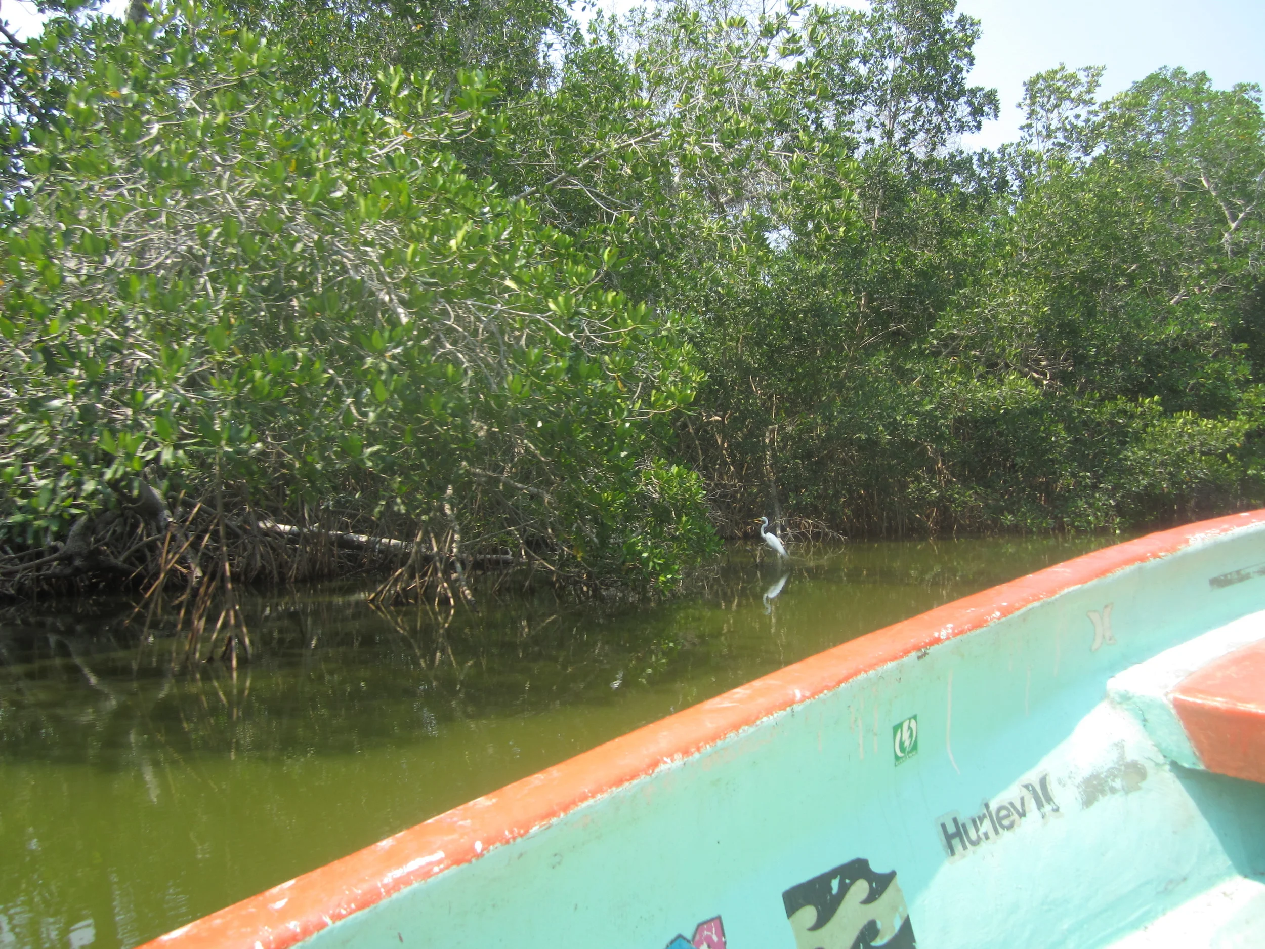 LAGUNA de MANIALTEPEC: SWIMMING IN PHOSPHORESCENCE 