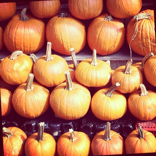 NEW YORK: HALLOWEEN