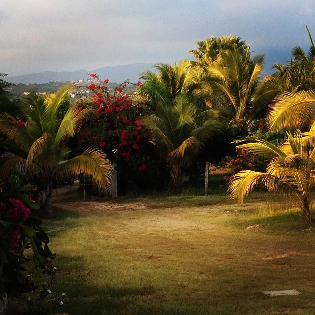 PUERTO ESCONDIDO: AFTERNOON SUN 
