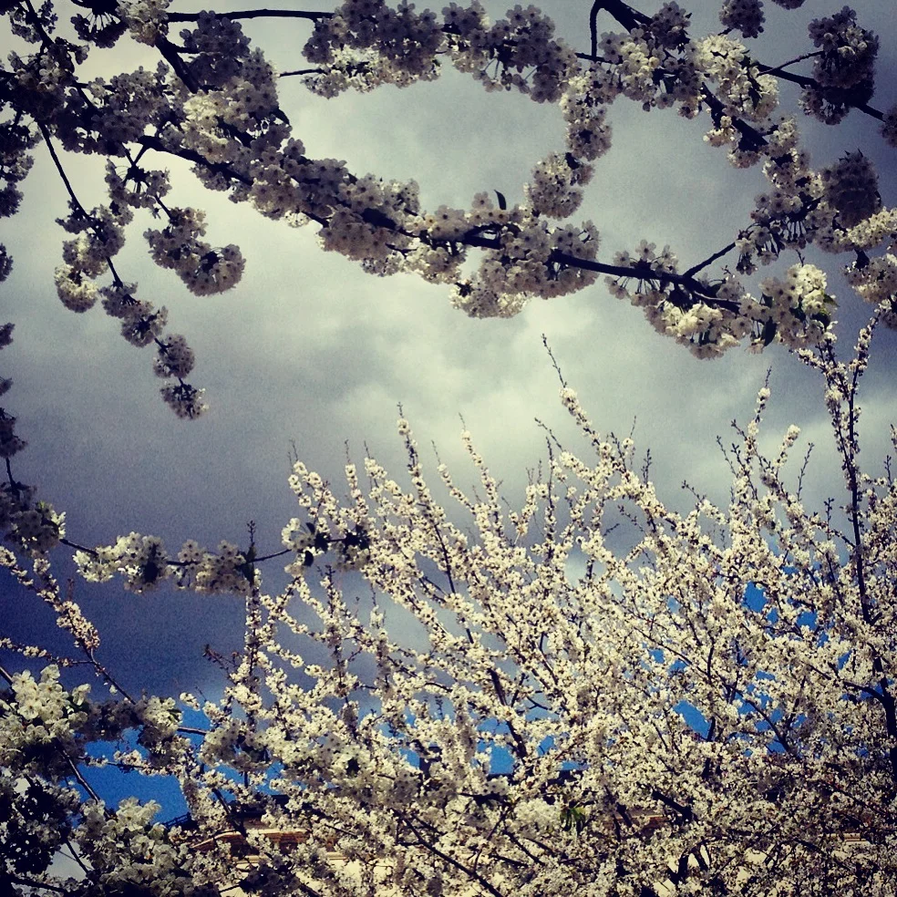 Oslo: 10 First Impressions 