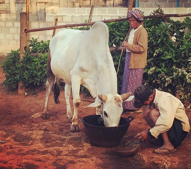 As i was eating my breakfast on the third day of the Kalaw to Inle Lake hike. 