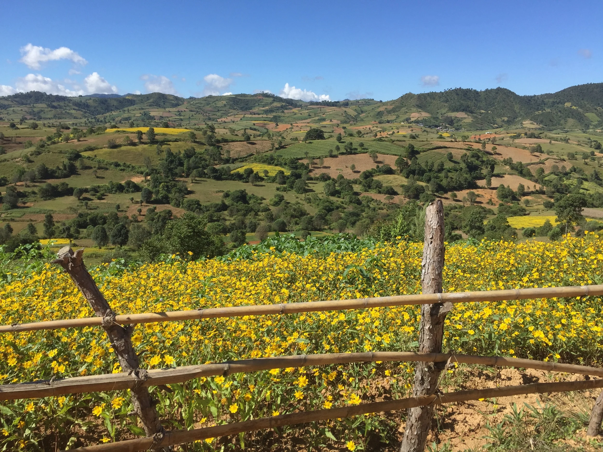 Myanmar (Burma): Alternative Top 5