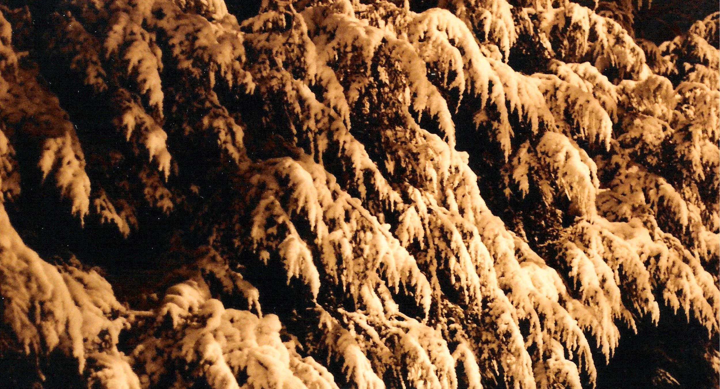 The snow at night in the dead of winter when your senses come alive