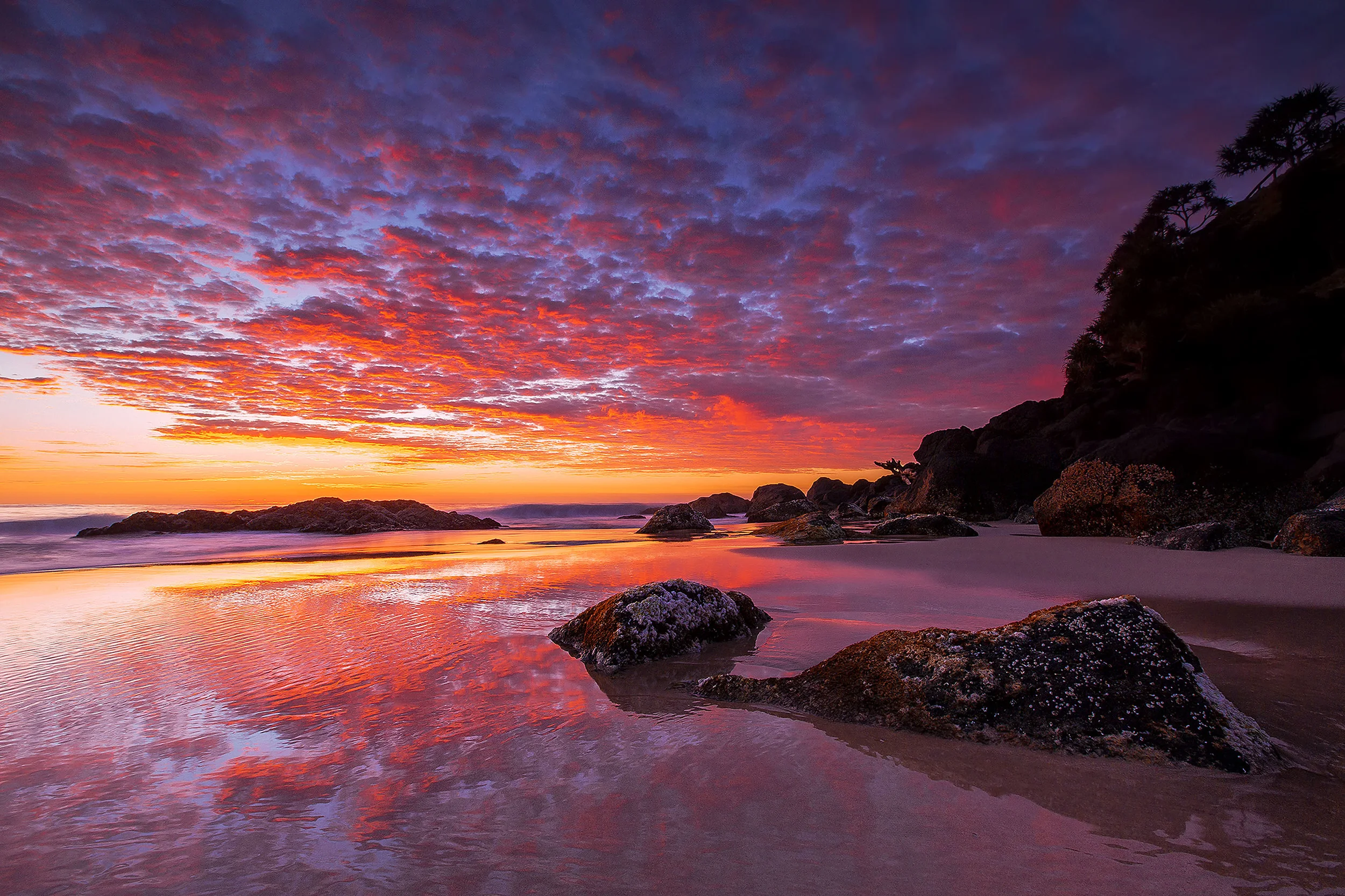 Snapper Rocks, QLD. Australia.