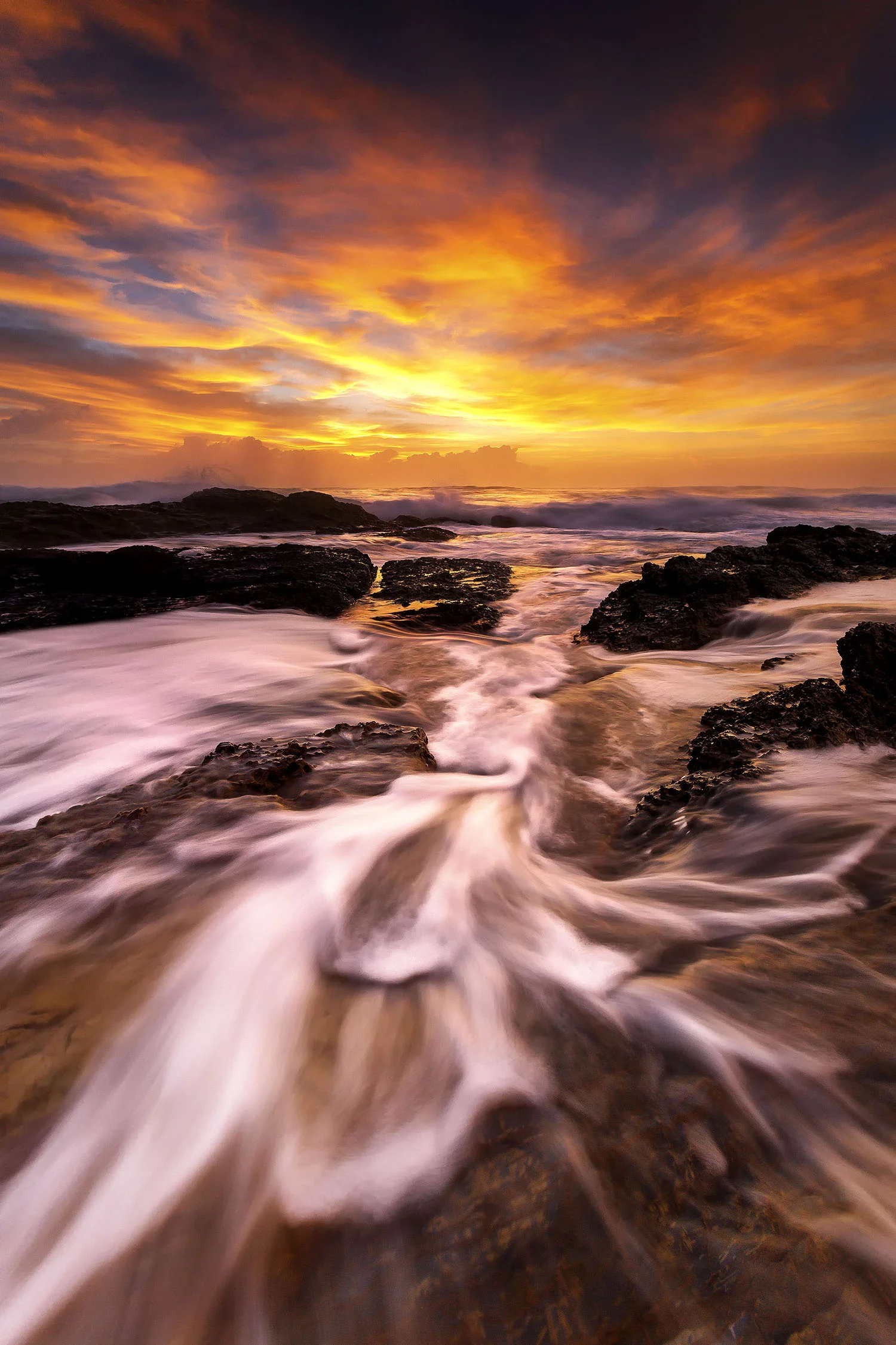 Tugun, QLD. Australia.