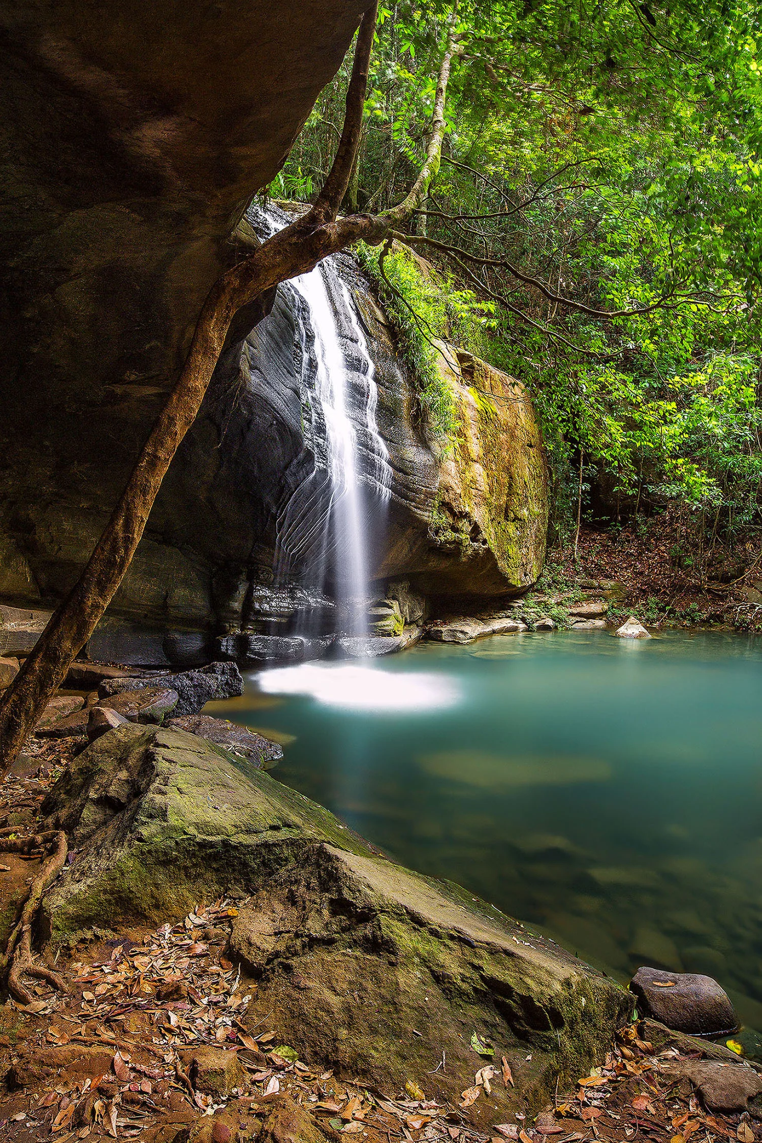 Serenity Falls, QLD. Australia.
