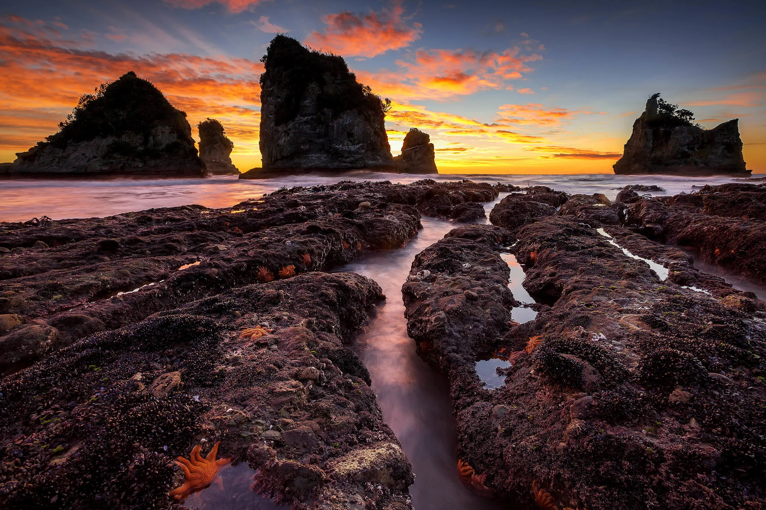 Motukiekie Rocks, West Coast, New Zealand. #1