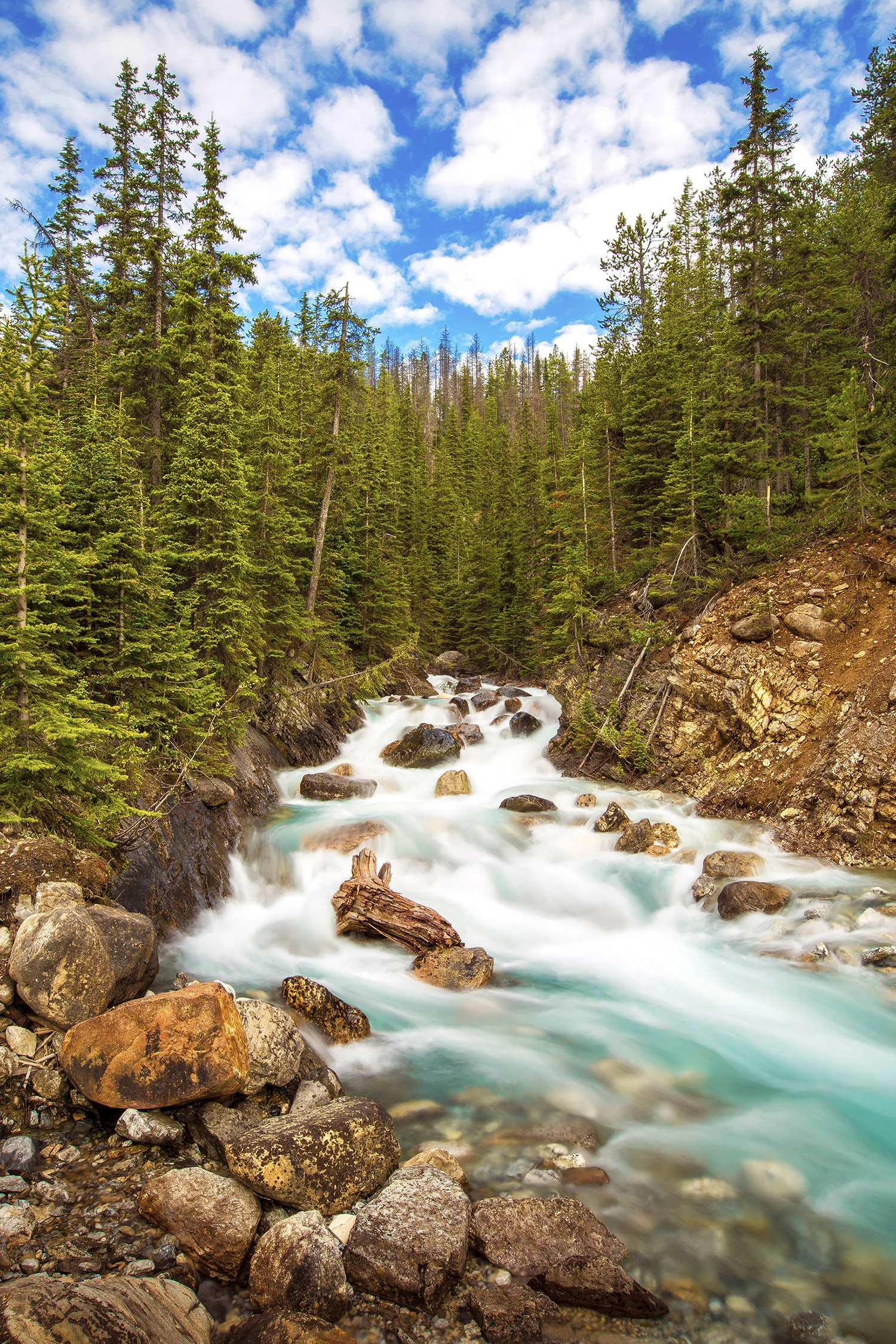 Unknown Location, Banff National Park. Canada.
