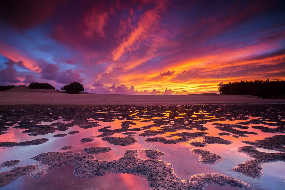 Stradbroke Island, QLD.