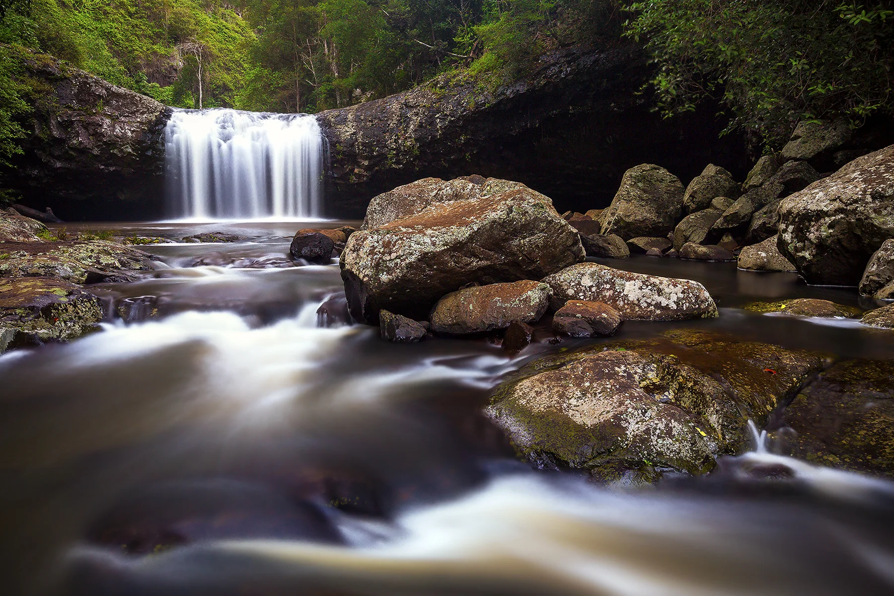 lipp falls website.jpg