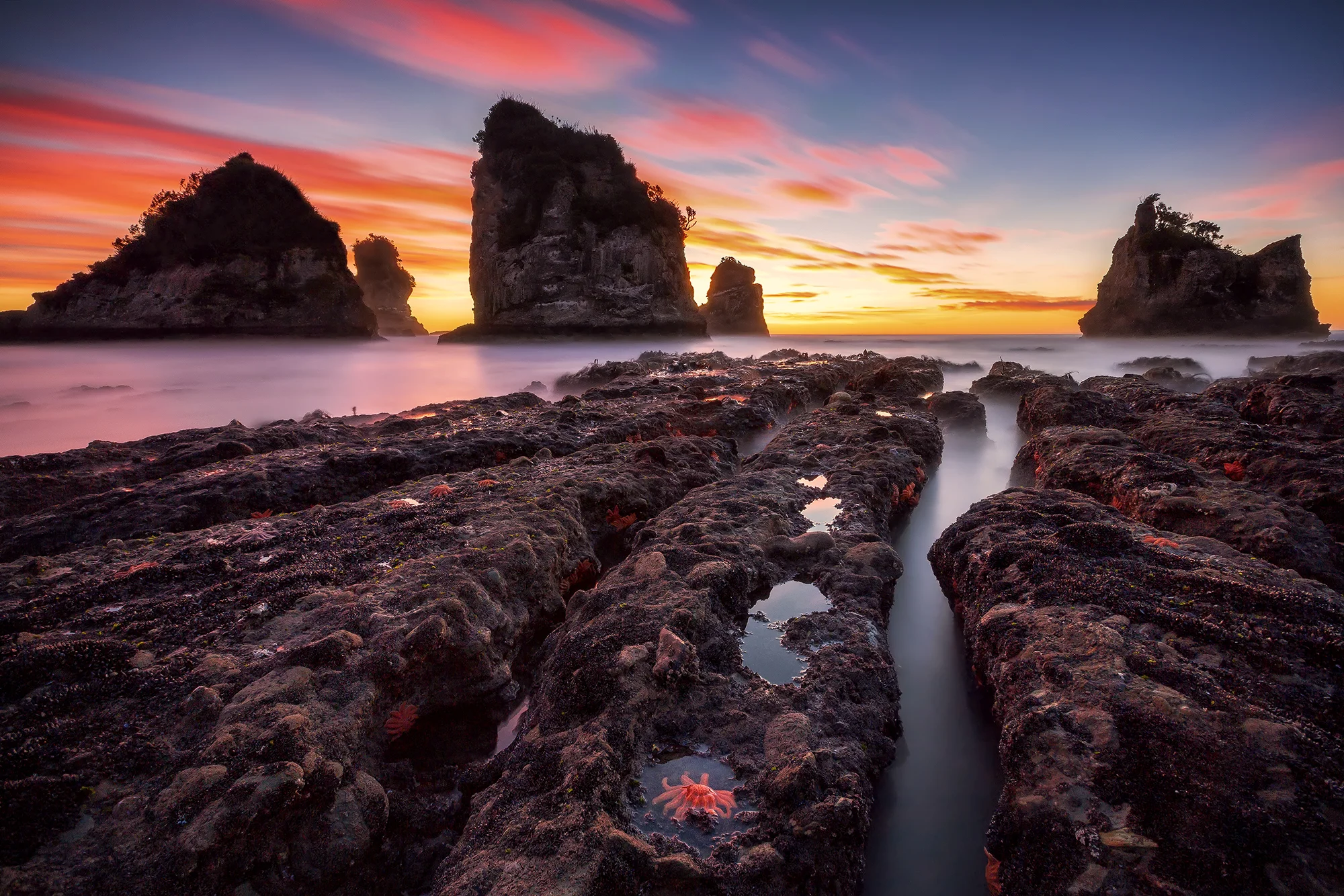 Motukiekie Rocks, West Coast, New Zealand. #3