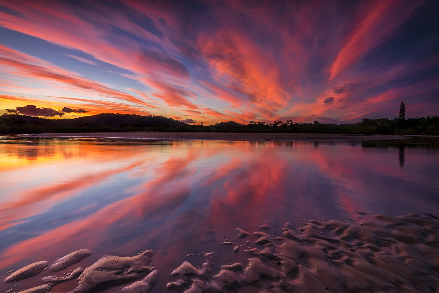 Hastings pink WEBSITE.jpg