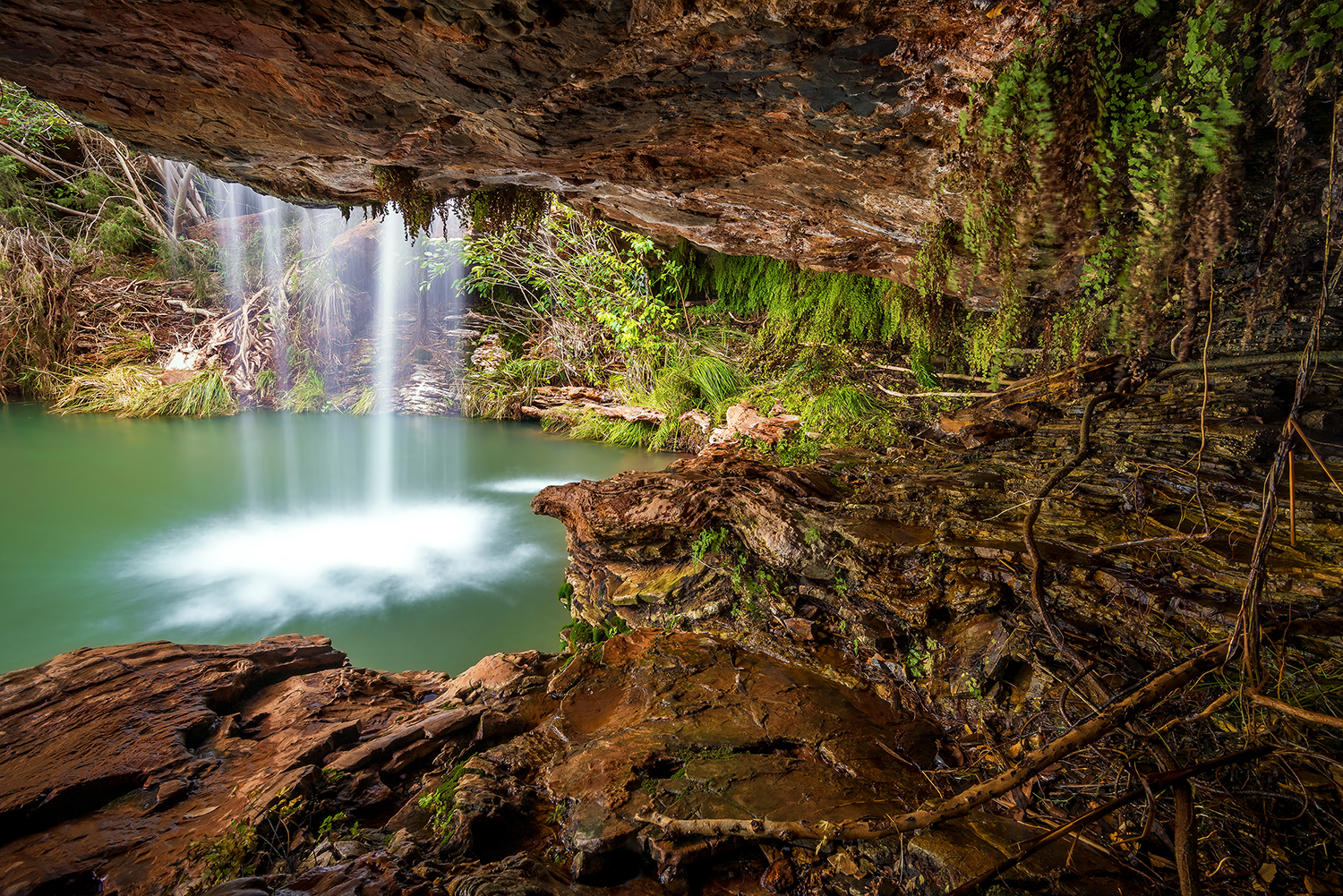 Website fern pool.jpg