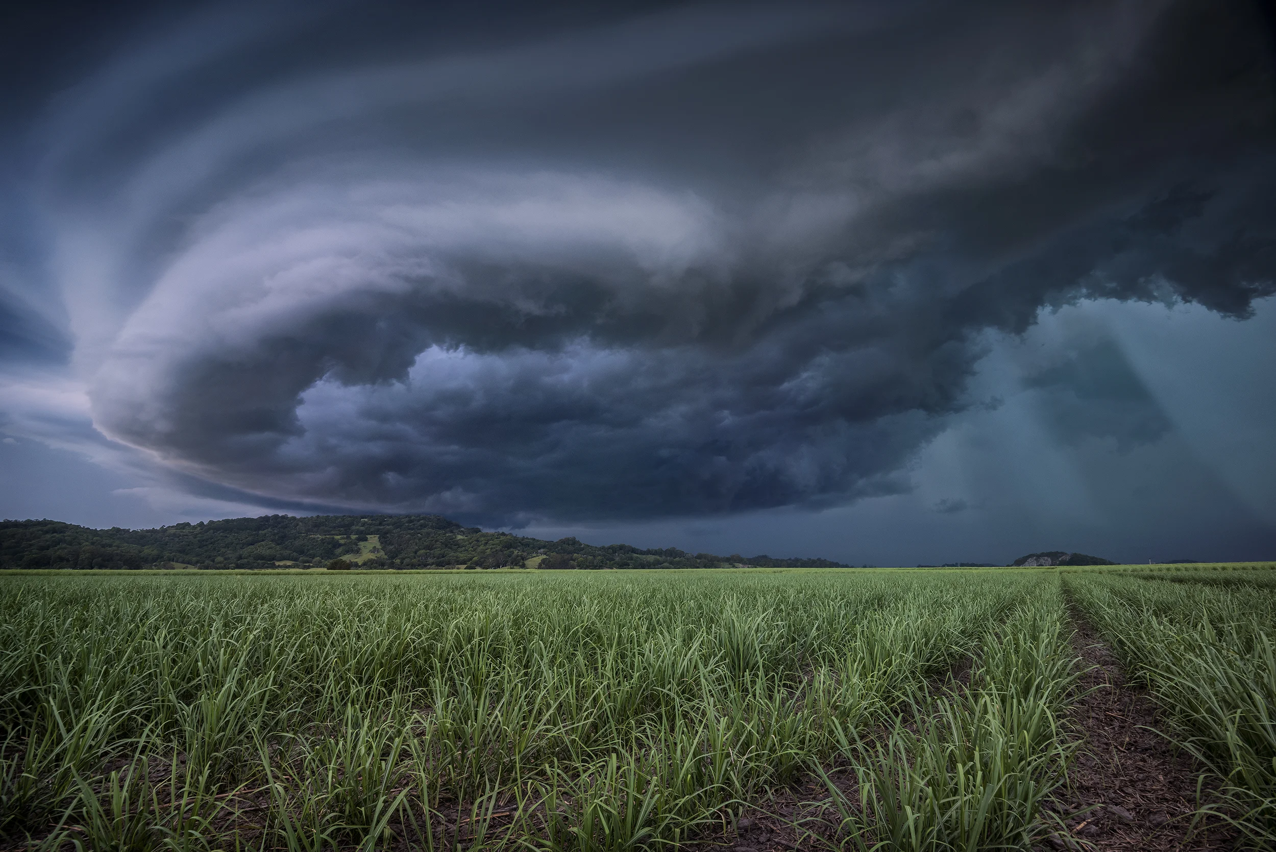 Murwillumbah, NSW
