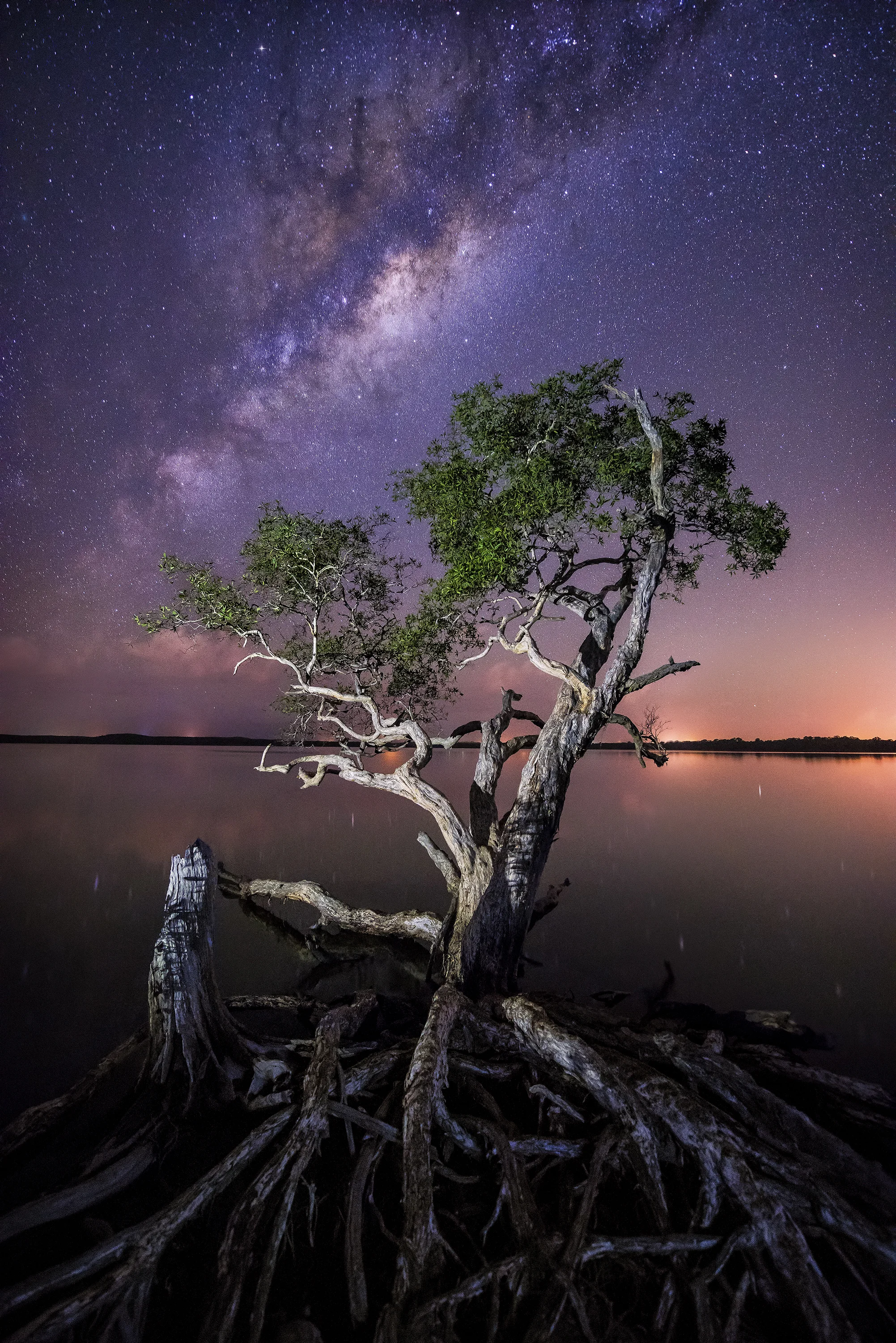 Noosa, QLD. Australia