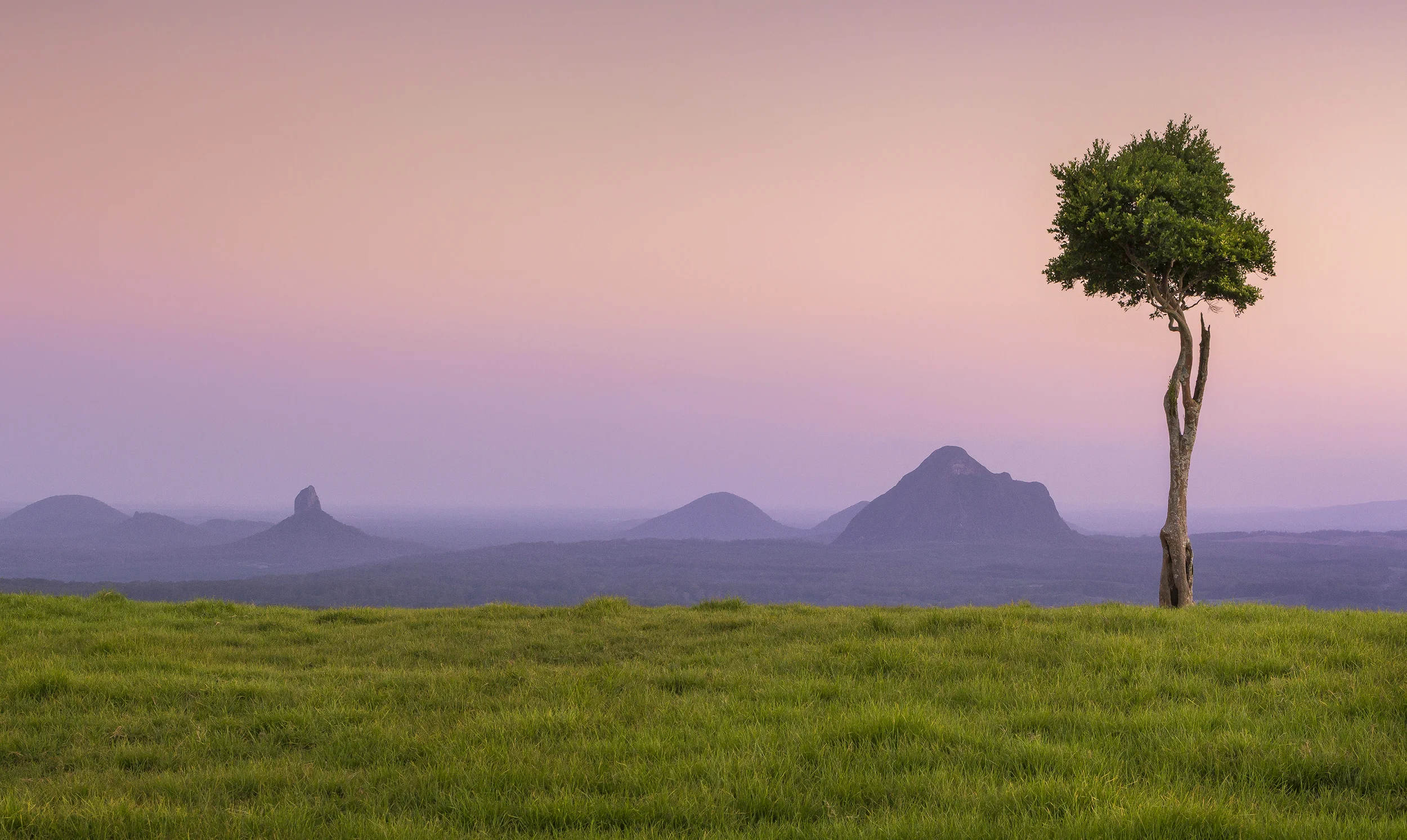 Maleny, QLD.