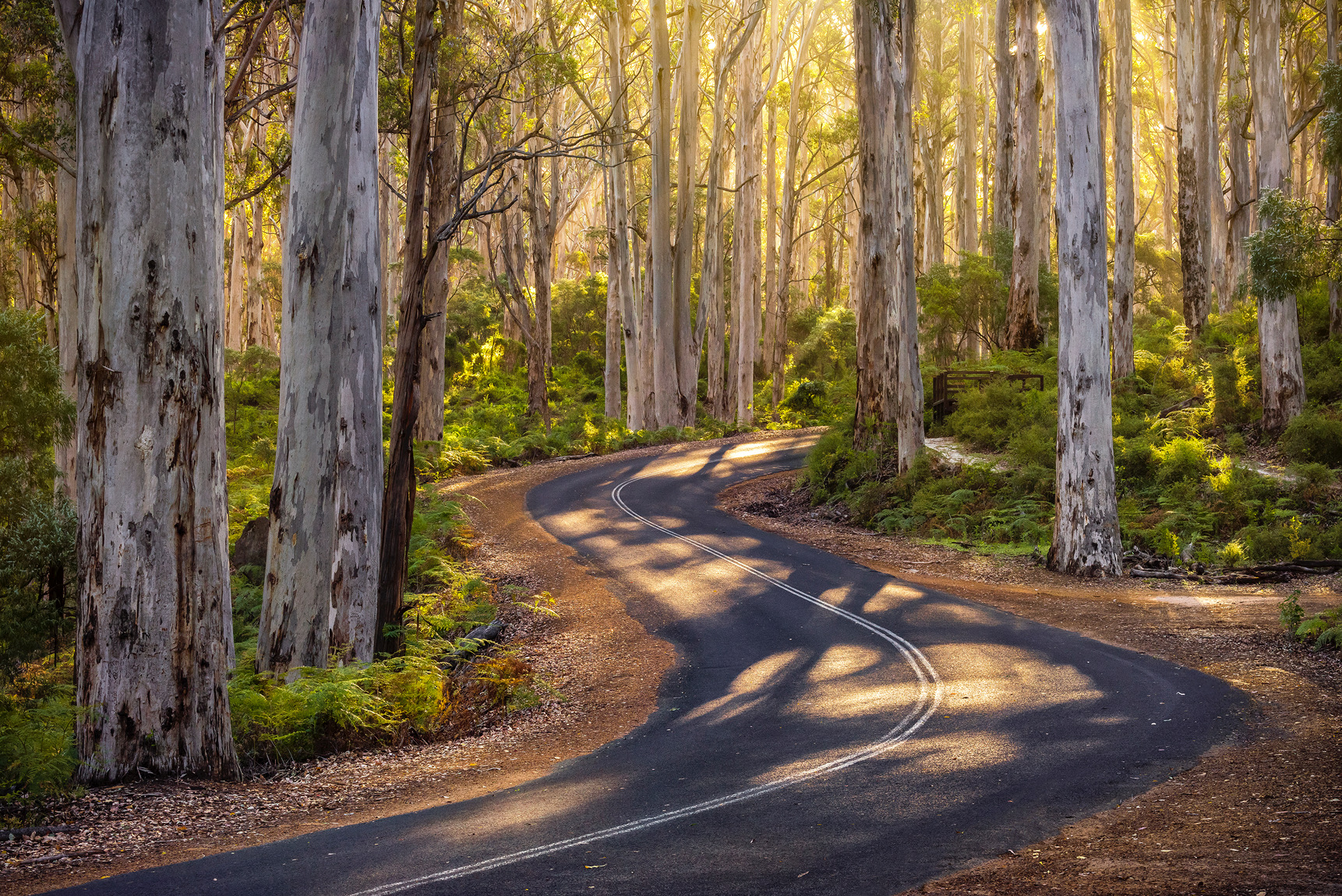 DK Photography Margaret River.jpg