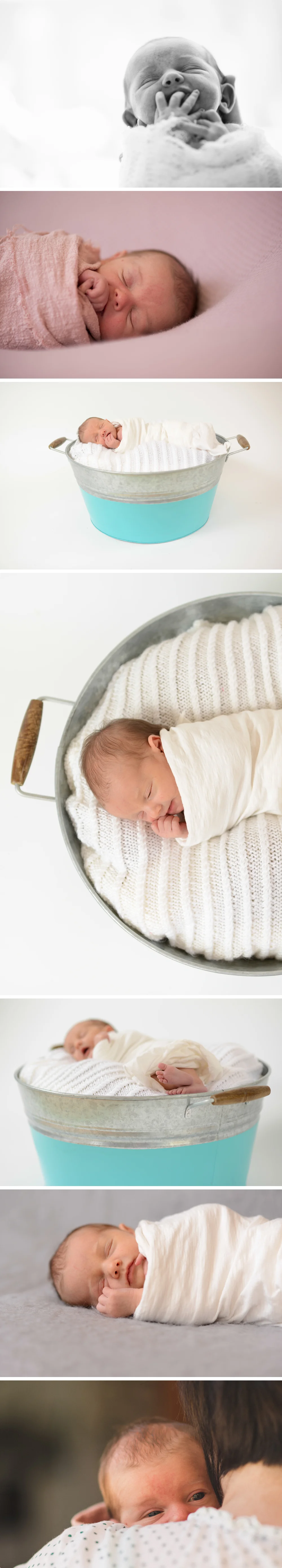 halifax wedding photographer one blue fish newborn photos