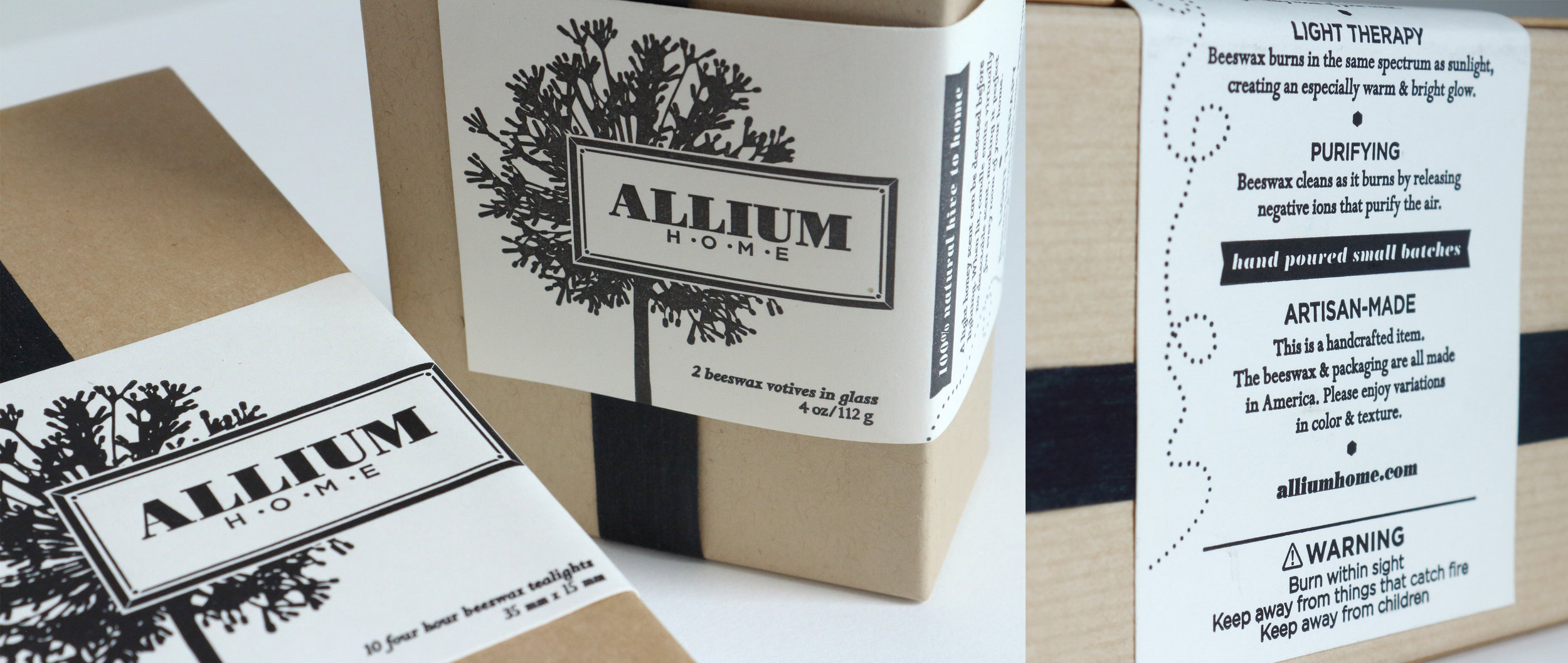 Allium-2.jpg