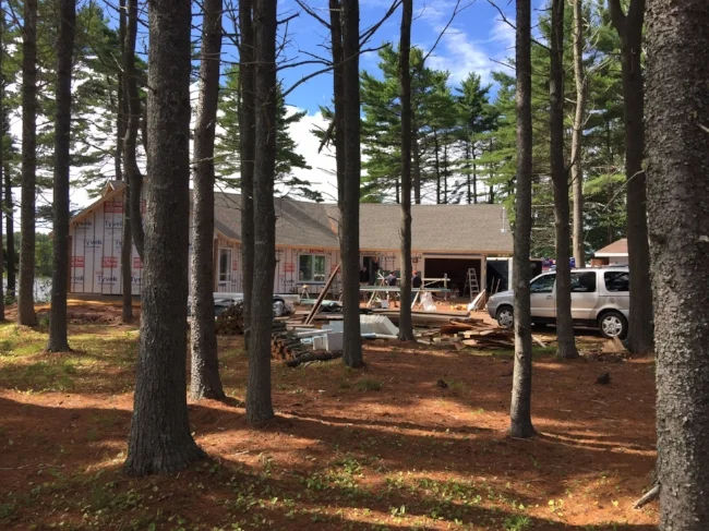 View From North East