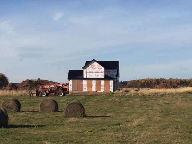 South View with Steel Roof