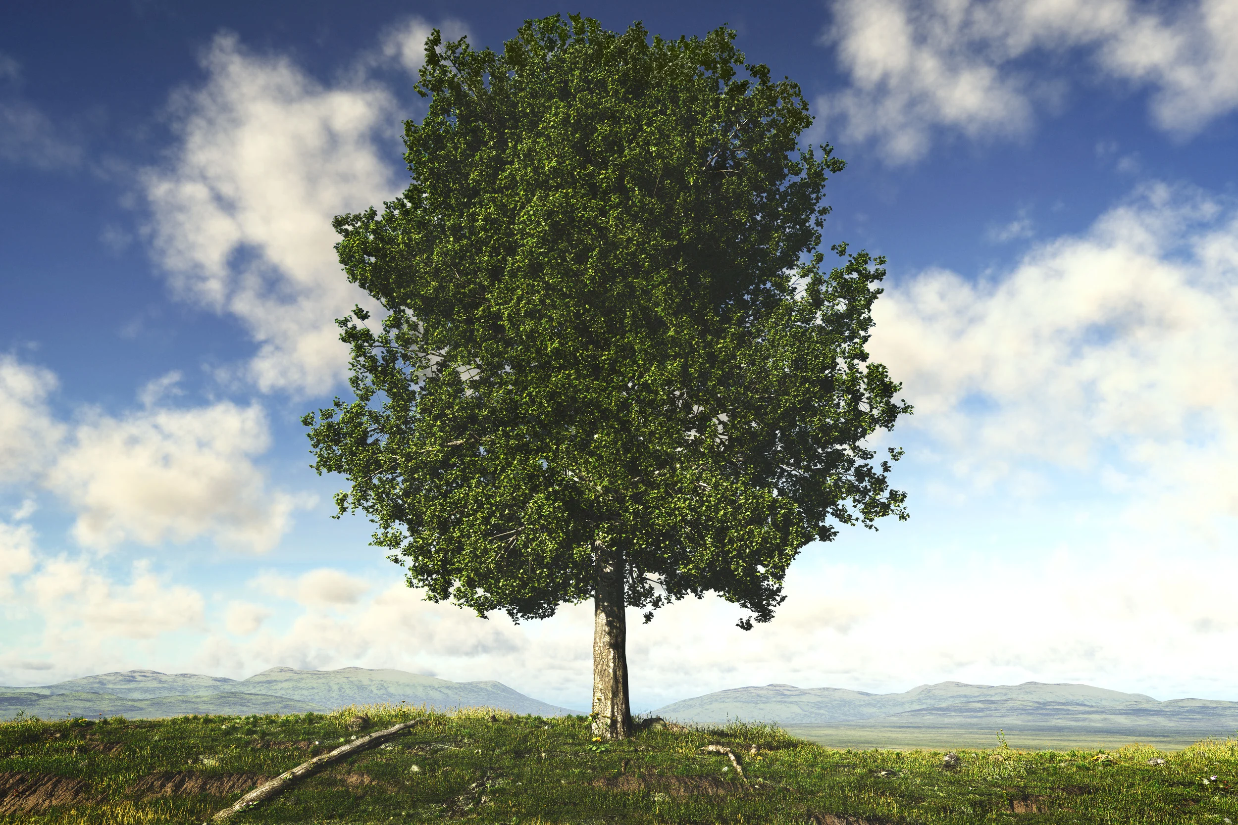 This image was digitally created from scratch with multiple cgi applications and composited with photoshop. Please visit ModeImaging.com for more info and samples.