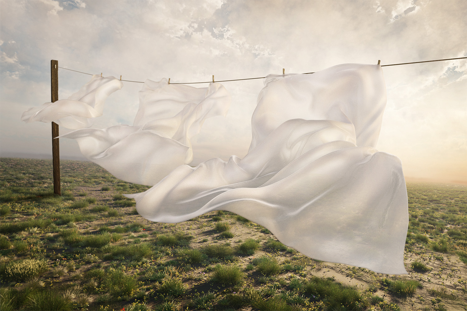 Clothesline_COMP_05_1500px.jpg