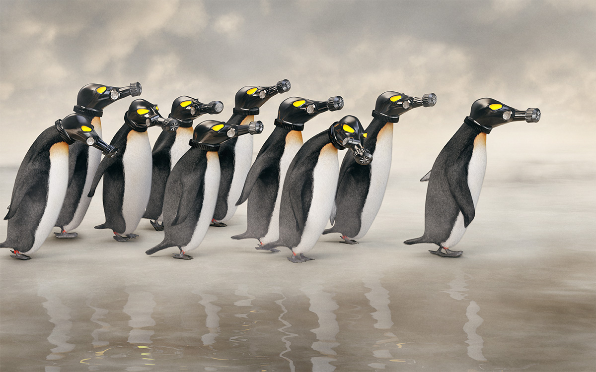 Penguins_Marching_07_COMP_01.jpg