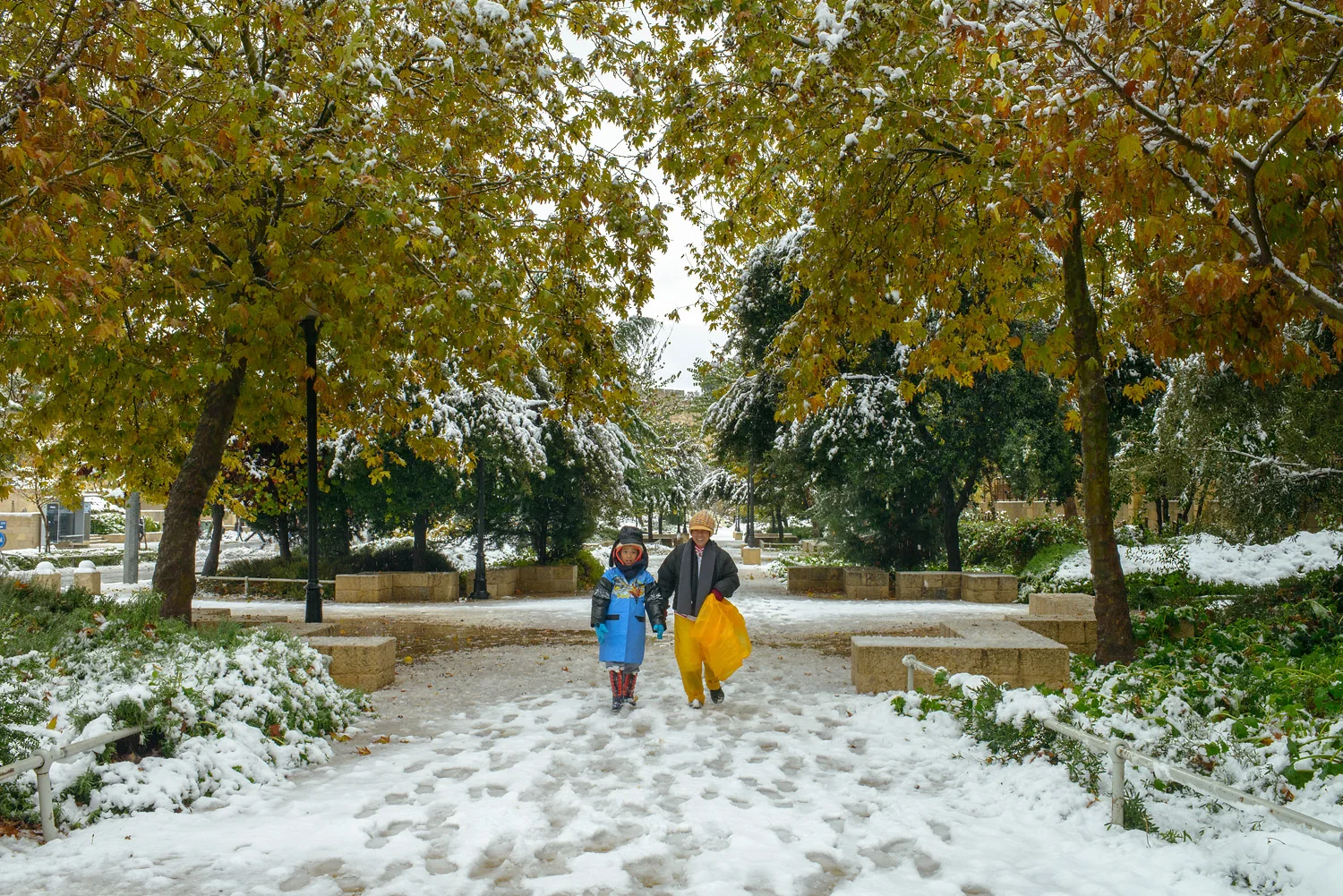 20131213-_DSC8289.jpg