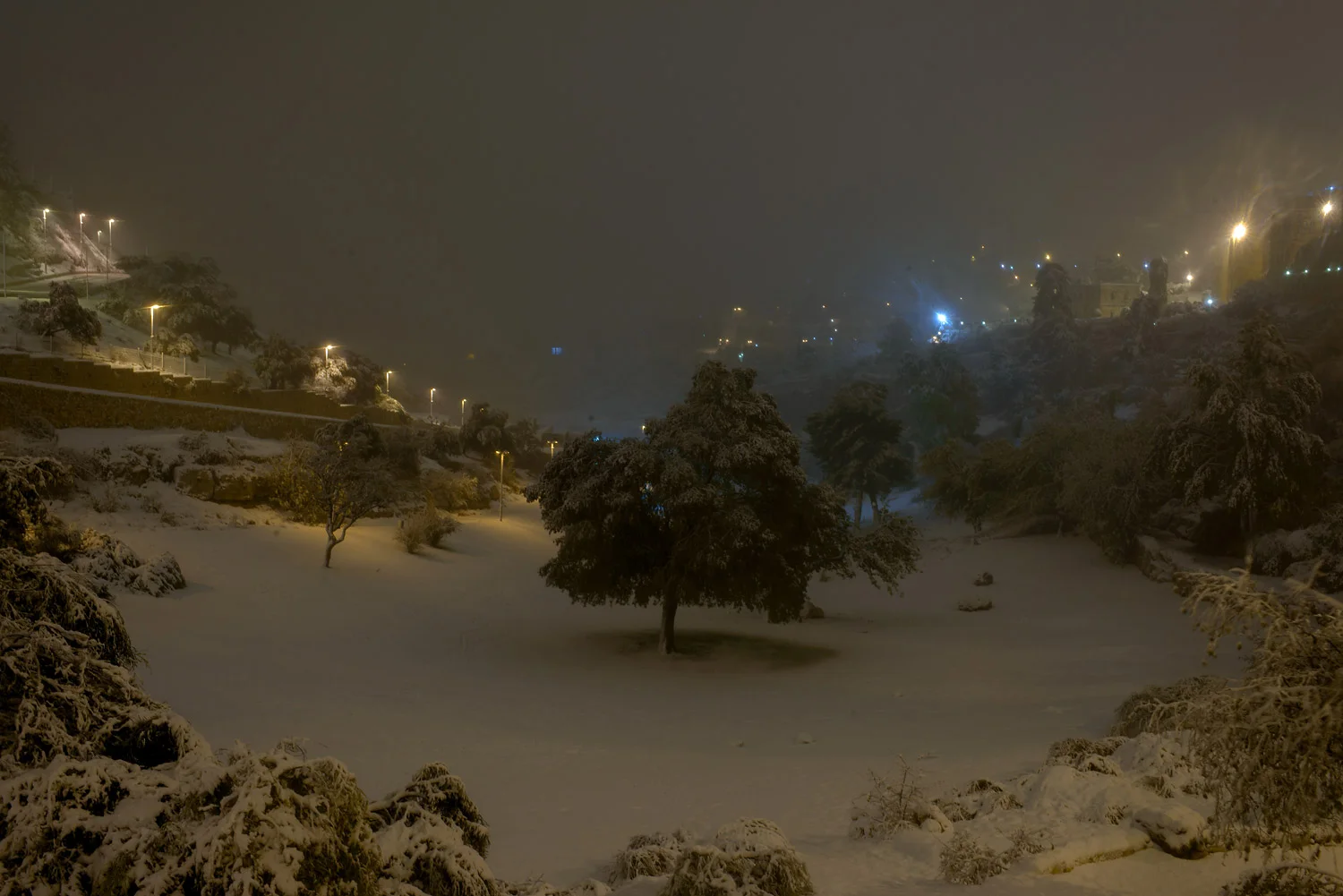 20131214-_DSC8521.jpg