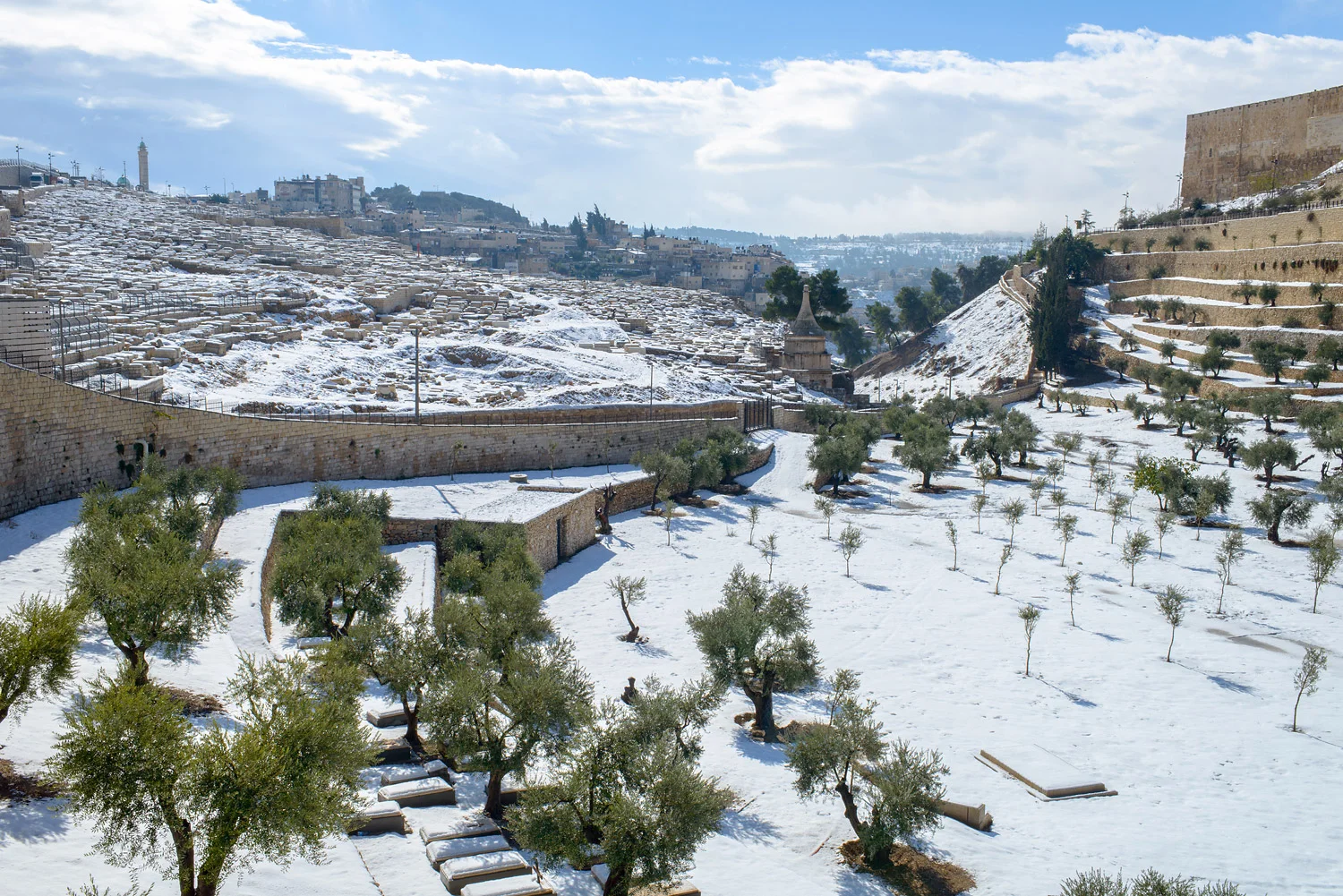 20131215-_DSC8696.jpg