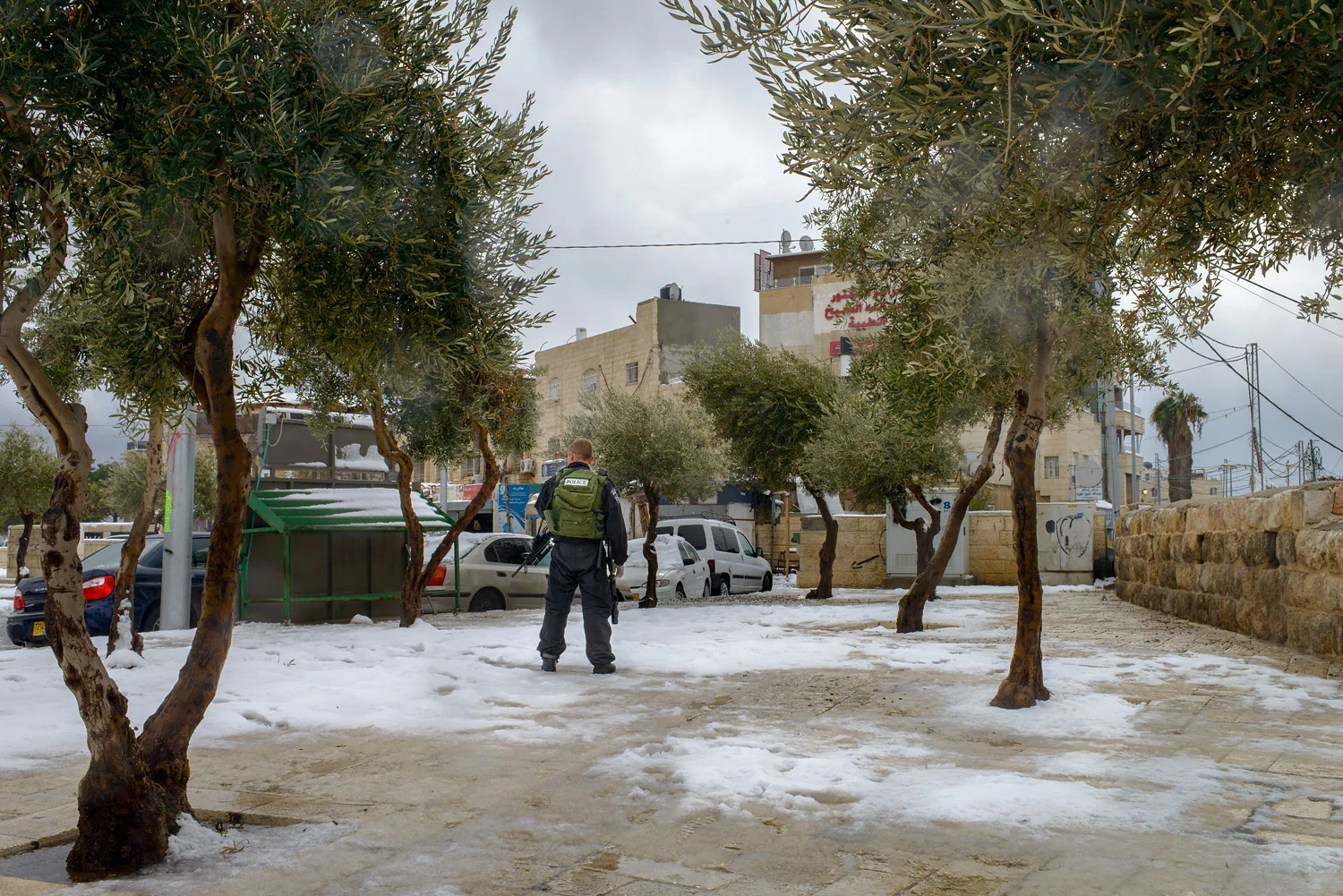 20131215-_DSC8818.jpg