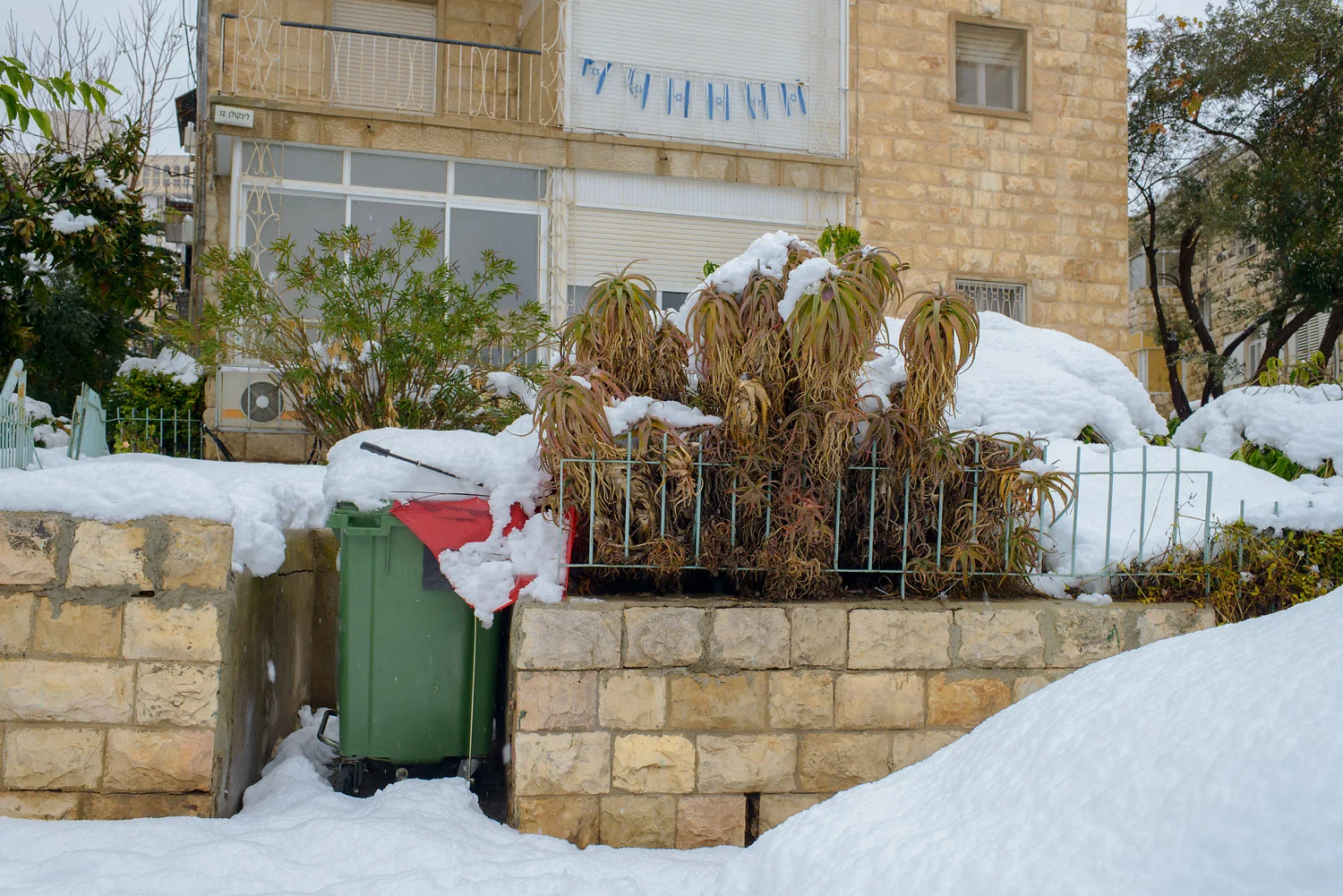 20131215-_DSC8944.jpg