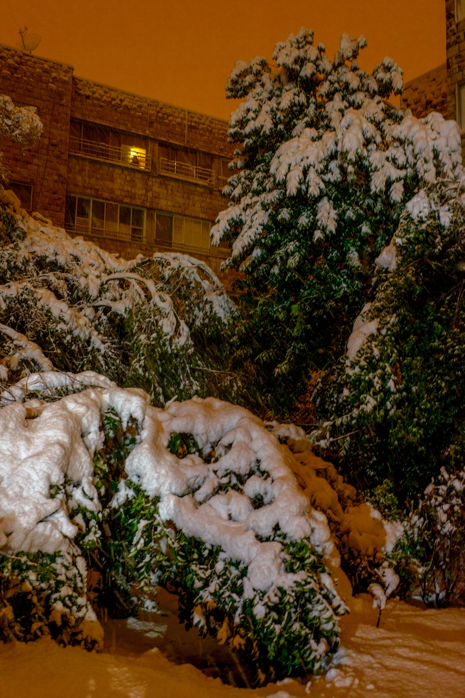 20131214-_DSC8583.jpg