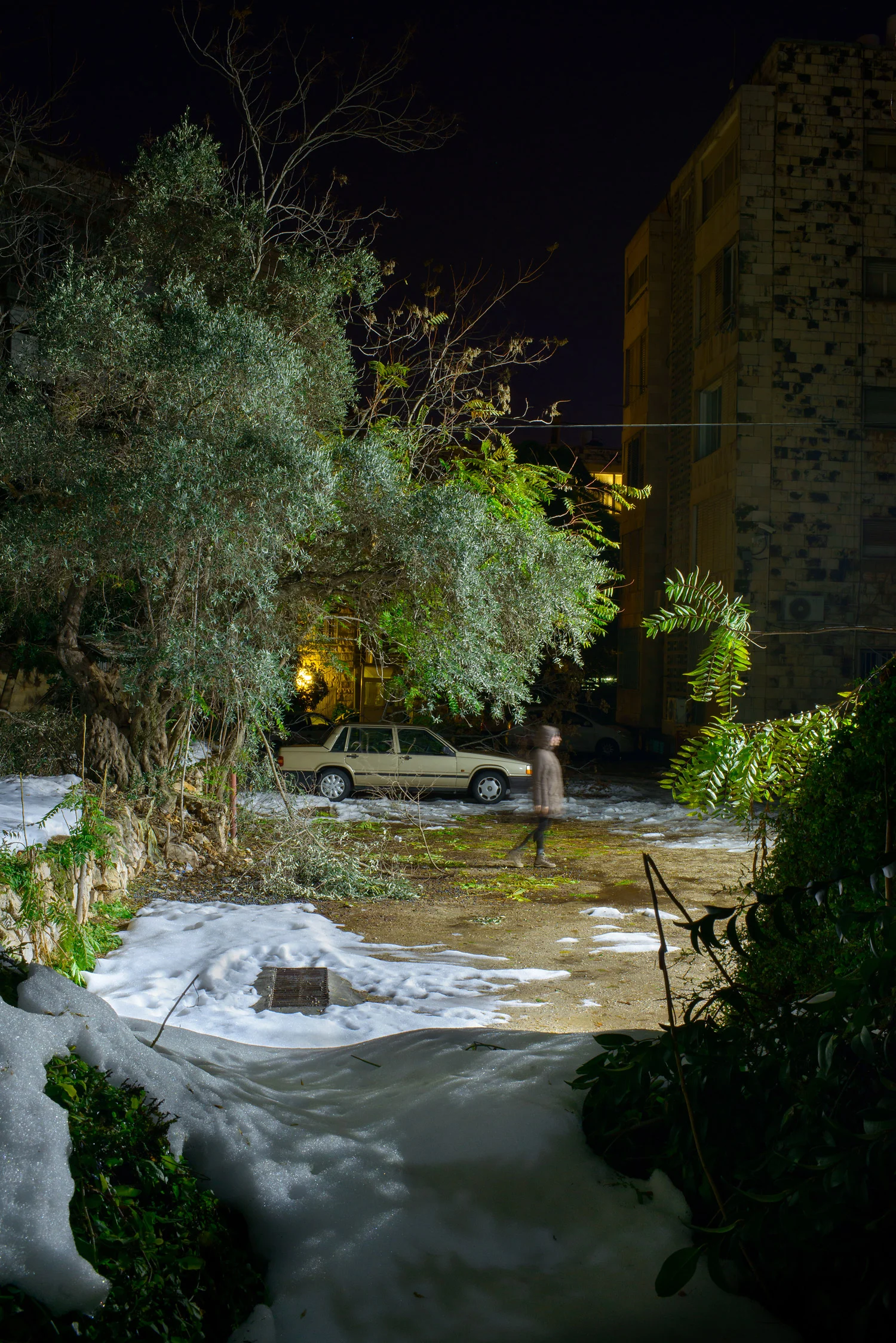 20131220-_DSC9117.jpg