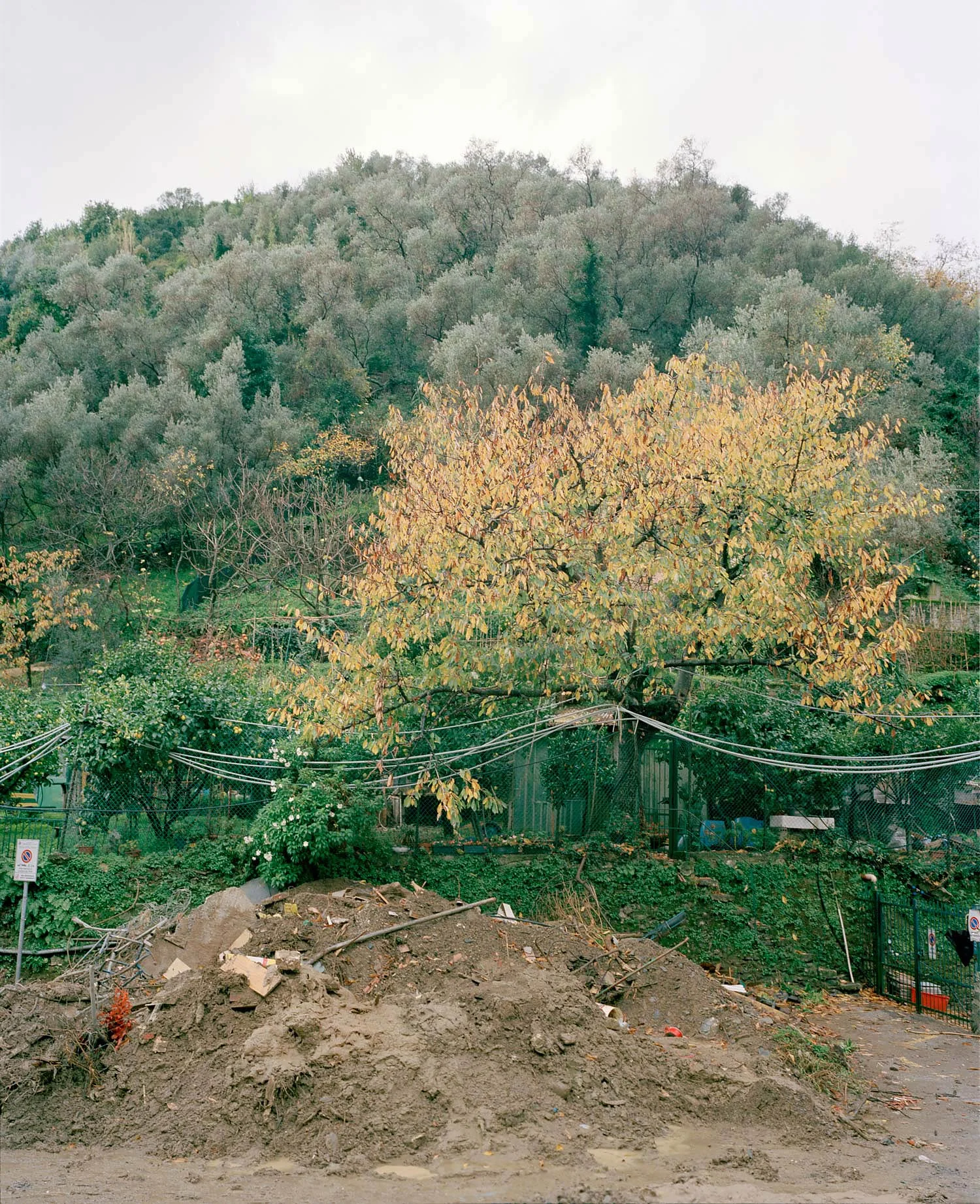 19.monterosso12.6.3200ppi.jpg