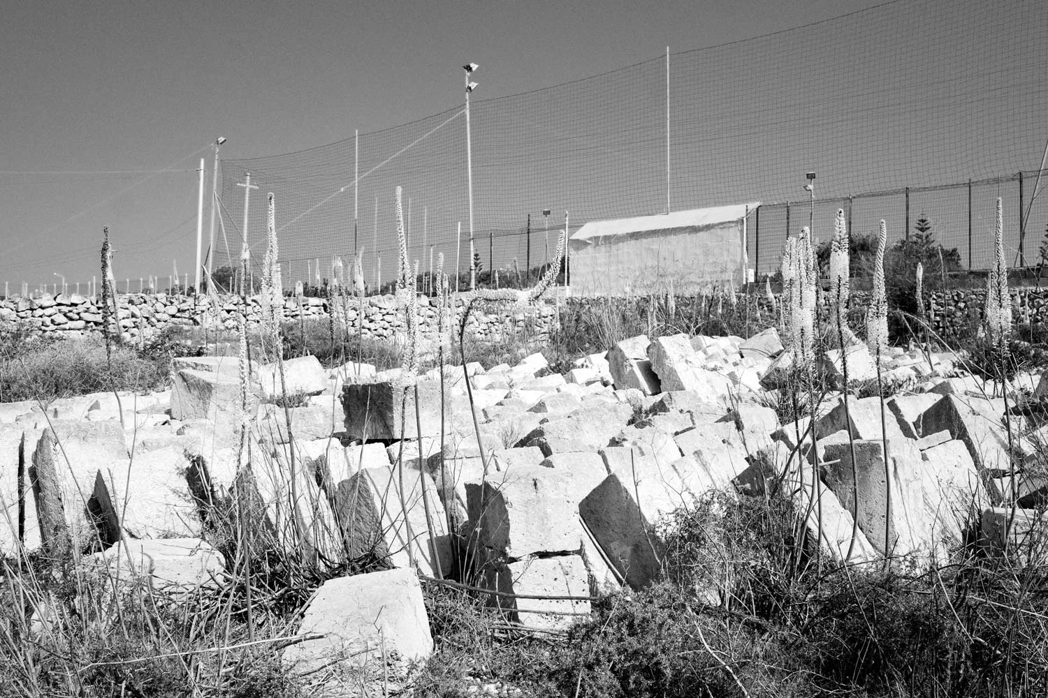 20161004-_DSF6869.jpg