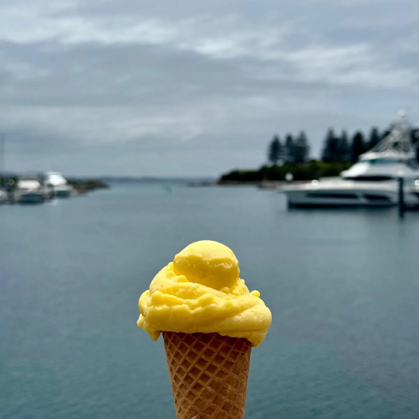 &quot;A scoop of mango sorbet&quot;🥭🍦

#bermaguifishermenswharf #gourmetcoasttrail #gelateriaartigianale #gelatoalmango #mangosorbet #bermaguinsw #bermaguifood #gelatiatbermaguiwharf #mangofarm #cwabermagui