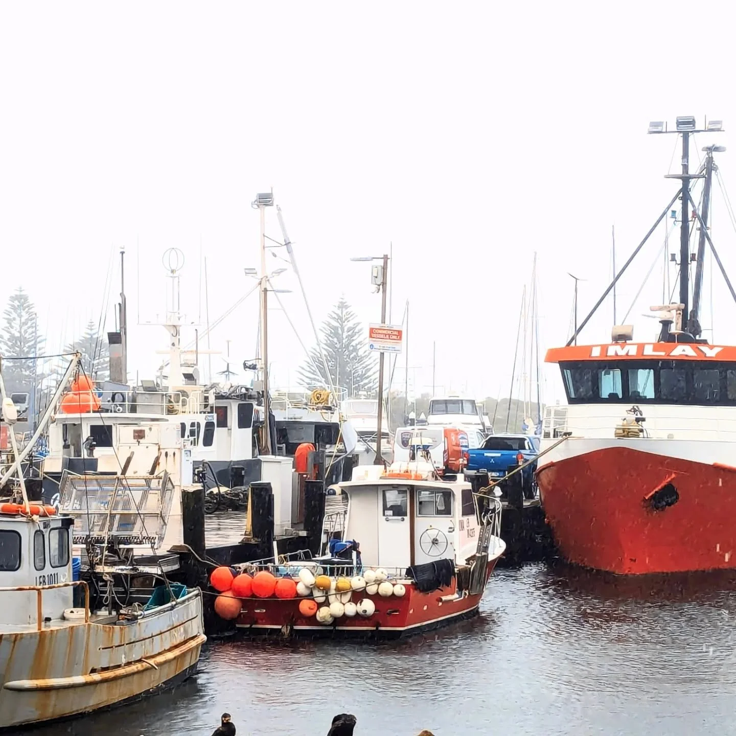 The Bermagui Wharf is just stunning. We love being here. Rain, hail or shine ❤️

#bermaguifishermenswharf #gelateriaartigianale #bermaguinsw #rainday #bermaguifood