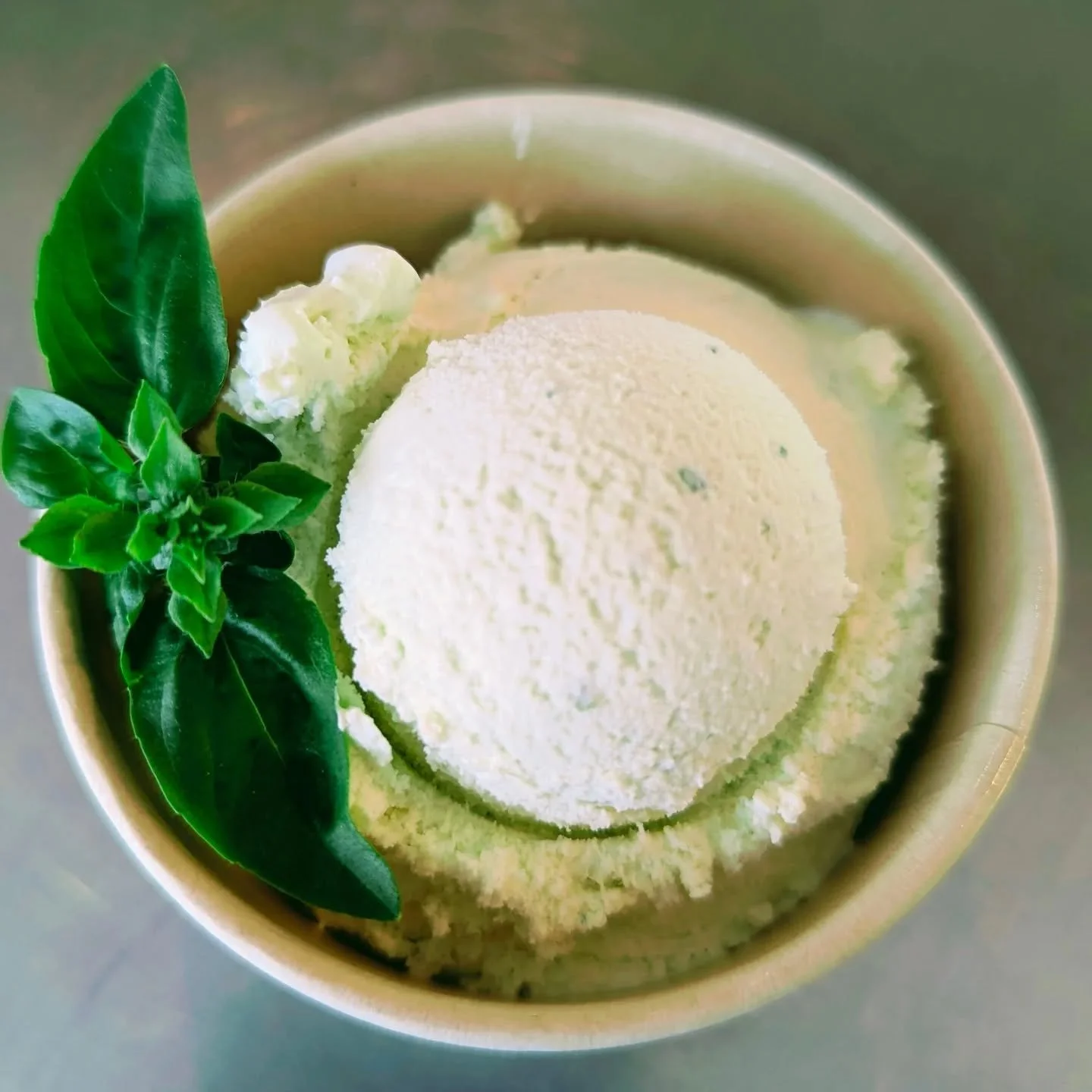 Extra virgin olive oil and basil. Creamy, silky and delicate.
And made with the best basil you can find around here, thank you Greg and Andy!

#basilgelato #bermaguinsw  #bermaguifood #gelateriaartigianale #oliveoilgelato